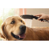 Hansgrohe DogShower - Ruční sprcha pro psa 150 x 63 mm, modrá 26640540