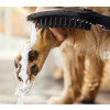 Hansgrohe DogShower - Ruční sprcha pro psa 150 x 63 mm, modrá 26640540